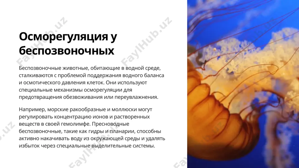 различным условиям среды. дальнейшие исследования в этой области помогут лучше понять эволюцию и разнообразие жизненных стратегий во всём живом мире. 14 image1.png image2.png image3.png image4.png image5.png image6.png image7.png image8.png image9.png image10.png image11.png image12.png image13.png