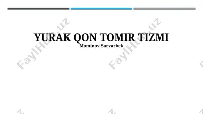 yurak qon tomir tizmi — PPTX
