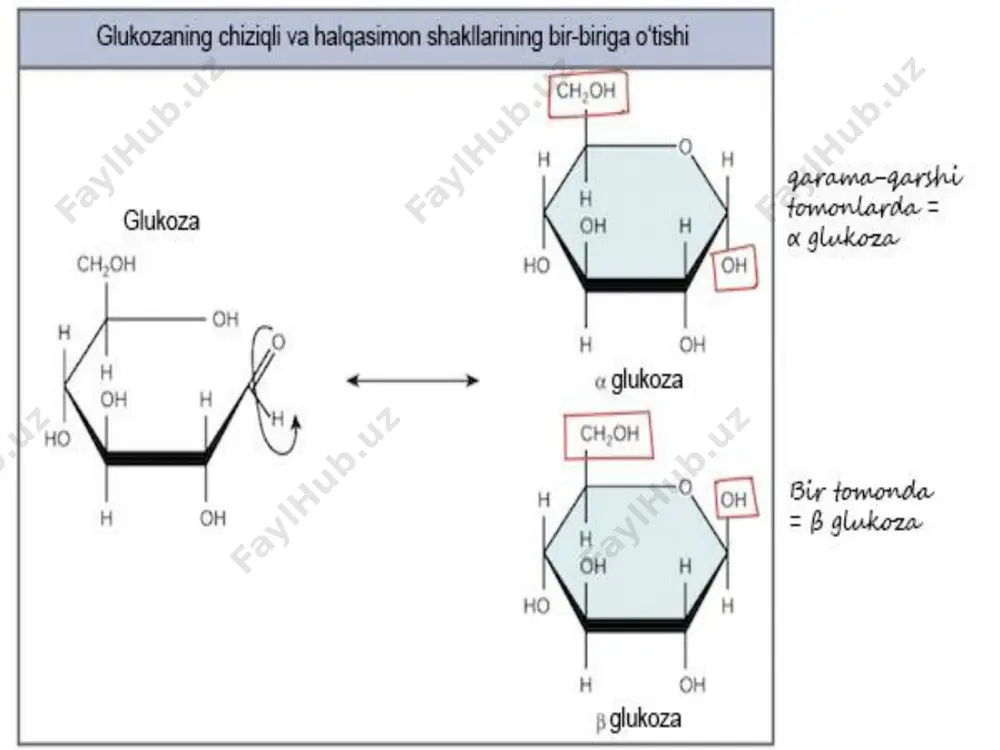 uglevodlarning biologik qiymati - Page 5
