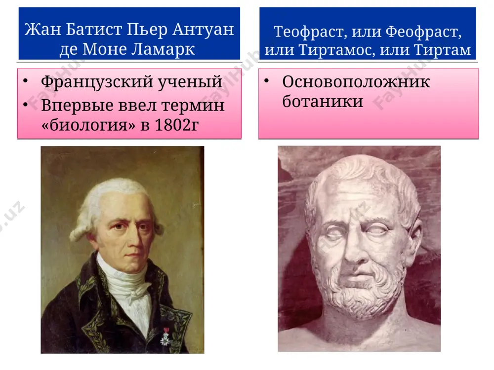 наука о растениях – ботаника - Page 4