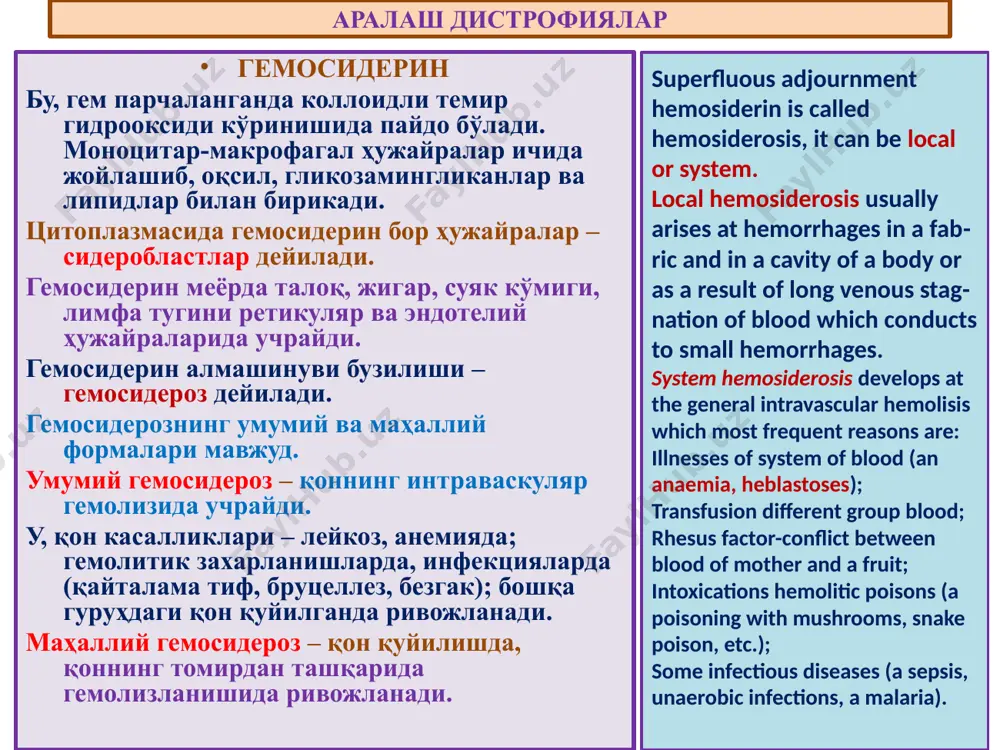 1. меланин. 2. адренохром. 3.энтерохромаффин ҳужайра пигменти. меланин юнонча melas – қора деган, кулранг-қора рангли пигмент. тери, соч ва кўзнинг ранги меланинга боғлиқ. меланин ўзида углерод, азот ва олтингугурт ушлайди. меланогенезнинг бошқарилиши нерв ва эндокрин тизим орқали амалга оширилади. меганостимулловчи, актг, қолқонсимон без, жинсий без гормонлари таъсирида м кўпаяди. парасимпатик нерв тизими ва мелатонин камайтиради. меланин алмашинуви бузилиши меланоз дейилади. умумий ва маҳаллий меланоз турлари бор. умумий меланоз – кахексия, авитаминоз, захарланиш ва эндокрин касалликларида кузатилади, аддисон касаллигида. melanin (from греч. melanos - black) - endogenous tiro-zinogennyj the pigment - is a physiological accessory malpigies a layer epidermis and an epithelium of hair bulbs. the hair colour is connected with melanin adjournment, an eye, skin. a source of this pigment - amino acid тирозин. enzyme tyrozinaze catalyzes oxidation of tyrozine to дигидрооксифенилаланина which is considered as promelanin. маҳаллий меланознинг турлари. 1. сепгил. 2. туғма хол – тери юзаси билан бир …