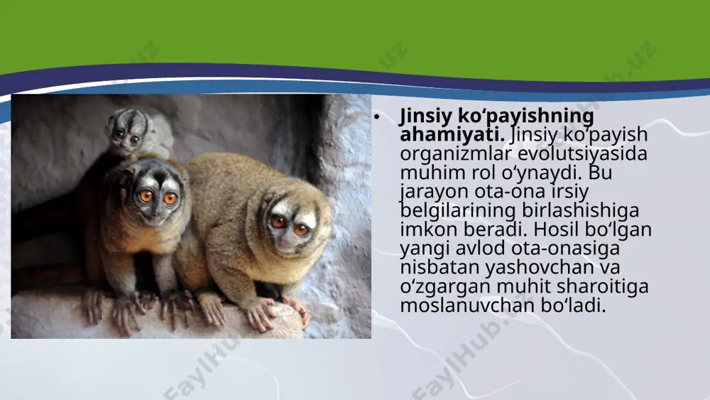 da fi zik (mexanik ta’sirlar, elektr toki, issiqlik va boshqalar) va kimyoviy omillardan foydalaniladi. savol va topshiriqlar jinsiy ko‘payishning qanday turlarini bilasiz? bir hujayralilarning jinsiy ko‘payishini aytib bering. konyugatsiya va kopulatsiyaning farqlarini ta’rifl ang. ko‘p hujayralilarning jinsiy ko‘payishini aytib bering. ko‘p hujayralilarda urug‘lanmasdan ko‘payishni ta’riflang. jinsiy ko‘payishning ahamiyatini izohlang. image2.jpeg image3.jpeg image4.jpeg image5.jpeg image6.jpeg image7.jpeg image8.jpeg image9.jpeg image10.jpeg image11.jpeg image12.jpeg image13.jpeg image1.jpeg