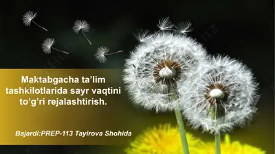sayr vaqtini to'g'ri rejalaştirish — PPTX