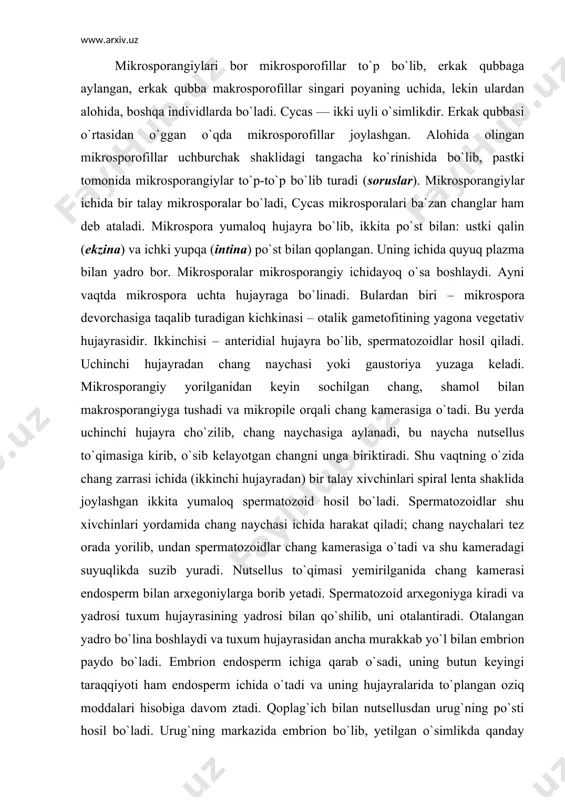 orilganidan keyin sochilgan chang, shamol bilan makrosporangiyga tushadi va mikropile orqali chang kamerasiga o`tadi. bu yerda uchinchi hujayra cho`zilib, chang naychasiga aylanadi, bu naycha nutsellus to`qimasiga kirib, o`sib kelayotgan changni unga biriktiradi. shu vaqtning o`zida chang zarrasi ichida (ikkinchi hujayradan) bir talay xivchinlari spiral lenta shaklida joylashgan ikkita yumaloq spermatozoid hosil bo`ladi. spermatozoidlar shu xivchinlari yordamida chang naychasi ichida harakat qiladi; chang naychalari tez orada yorilib, undan spermatozoidlar chang kamerasiga o`tadi va shu kameradagi suyuqlikda suzib yuradi. nutsellus to`qimasi yemirilganida chang kamerasi endosperm bilan arxegoniylarga borib yetadi. spermatozoid arxegoniyga kiradi va yadrosi tuxum hujayrasining yadrosi bilan qo`shilib, uni otalantiradi. otalangan yadro bo`lina boshlaydi va tuxum hujayrasidan ancha murakkab yo`l bilan embrion paydo bo`ladi. embrion endosperm ichiga qarab o`sadi, uning butun keyingi taraqqiyoti ham endosperm ichida o`tadi va uning hujayralarida to`plangan oziq moddalari hisobiga davom ztadi. qoplag`ich bilan nutsellusdan urug`ning po`sti hosil bo`ladi. urug`ning markazida embrion bo`lib, yetilgan o`simlikda qanday qismlar …