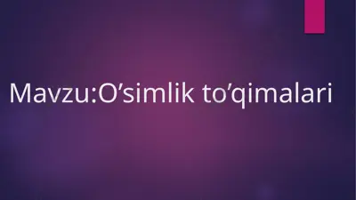 o’simlik to’qimalari — PPTX