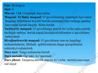 umurtqali hayvonlar — PPTX