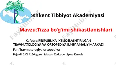 tizza bo’g’imi shikastlanishlari — PPTX