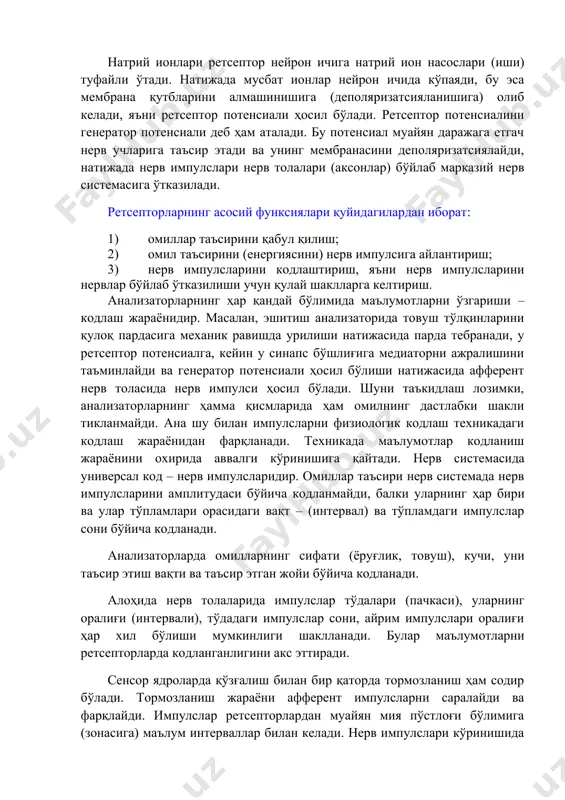 қабул қилиш; 1. омил таъсирини (енергиясини) нерв импулсига айлантириш; 1. нерв импулсларини кодлаштириш, яъни нерв импулсларини нервлар бўйлаб ўтказилиши учун қулай шаклларга келтириш. анализаторларнинг ҳар қандай бўлимида маълумотларни ўзгариши – кодлаш жараёнидир. масалан, эшитиш анализаторида товуш тўлқинларини қулоқ пардасига механик равишда урилиши натижасида парда тебранади, у ретсептор потенсиалга, кейин у синапс бўшлиғига медиаторни ажралишини таъминлайди ва генератор потенсиали ҳосил бўлиши натижасида афферент нерв толасида нерв импулси ҳосил бўлади. шуни таъкидлаш лозимки, анализаторларнинг ҳамма қисмларида ҳам омилнинг дастлабки шакли тикланмайди. ана шу билан импулсларни физиологик кодлаш техникадаги кодлаш жараёнидан фарқланади. техникада маълумотлар кодланиш жараёнини охирида аввалги кўринишига қайтади. нерв системасида универсал код – нерв импулсларидир. омиллар таъсири нерв системада нерв импулсларини амплитудаси бўйича кодланмайди, балки уларнинг ҳар бири ва улар тўпламлари орасидаги вақт – (интервал) ва тўпламдаги импулслар сони бўйича кодланади. анализаторларда омилларнинг сифати (ёруғлик, товуш), кучи, уни таъсир этиш вақти ва таъсир этган жойи бўйича кодланади. алоҳида нерв толаларида импулслар …