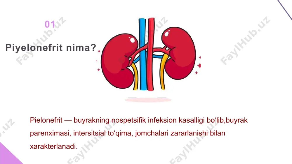 efrit, buyrak soʻrǵichlari nekrozi bilan asoratlanadi. diagnostikasi tashxis qoʻyishda anamnezda yaqinda o'tkazilgan o'tkir yiringli jarayon mavjudligi, surunkali kasalliklar (o'tkir osti septik endokardit, ginekologik kasalliklar va boshqalar) mavjudligi muhim oʻrinni egallaydi. kasallik uchun bezgakning dizuriya, bel sohasida oǵriq,oligouriya, piuriya, proteinuriya, gematuriya, bakteriuriya bilan birga kelishi xarakterli boʻlib, bunda siydikning nisbiy zichligi yuqori boʻlishi kuzatiladi. siydikdagi patologik elementlar o'tkir yiringli kasalliklarda ham kuzatilishi, piuriya esha buyrakdan tashqari kasalliklarda ham boʻlishi mumkin. zamonaviy diagnostika ba'zida to'g'ri tashxis qo'yish uchun punksiya talab qilinishi mumkin. bunday holda, teri orqali buyrakka uzun igna kiritiladi, uning yordamida biologik material olinadi. ilgari, organga kirish siydik pufagi va siydik yo'llari orqali kateter yordamida olingan. bugungi kunda ushbu usul infektsiya xavfi yuqori bo'lganligi sababli qo'llanilmaydi. kompyuter tomografiyasi va mrt pielonefritni tashxislashning eng zamonaviy va informatsion usullari hisoblanadi. ular ultratovush va rentgenga qaraganda yuqori aniqlikka ega, lekin ayni paytda qimmatroq. kompyuter tomografiyasi va mrt pielonefritni tashxislashning eng zamonaviy va informatsion usullari …