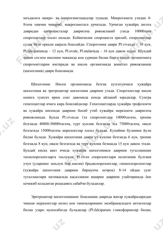 а pl.falciparumларда 48 соатда, pl.malariaда 72 соатда тугалланади. бу даврда pl.vivax ва pl.ovale ёш эритроцитларда (ретикулоцитларда) паразитлик килса, pl.malaria балогат ёшидаги эритроцитларда, pl.falciparum эса хамма ёшдаги эритроцитларда яшайди. эритроцитлардан чиккан меразоитларнинг бир кисми яна кайтадан эритроцитларга кириб, олдинги боскични кайтадан босиб утса, колган кисми жинсий хужайраларга (микро- ва макрогаметоцитларга) айланади. эпидемиологияси. табиий шароитда безгак – антропоноз, трансмиссив инвазиядир. шунинг билан биргаликда трансмиссив инфекциялар ичида энг куп таркалганидир. безгак каалини кузгатувчисини манбаи бемор ёки соглом паразит ташувчидир. табиий шароитда безгакни бирдан-бир юкиш йули трансмиссив йул бўлиб, касалликни юкиши уз танасида спорогония даврини тугаллатган анофелес чивинининг ургочиси соглом одамни чакканда руй беради. анофелес чивинининг купаядиган жойи кичик, секин окадиган, яхши илийдиган (анофелоген) сув хавзаларидир. чивиннинг ривожланиш даври ташки мухитни хароратига караб 2-4-5 хафта ва ундан куп давом этиши мумкин, хамда тухум – личинка – кугирчок – имаго (капалак) фазаларини босиб утади. ташки мухитни харорати 10осдан паст булса чивинни ривожланиши тухтайди. шунинг учун …