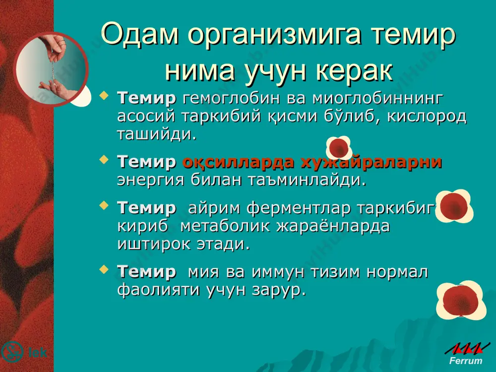 noy anemiey. anemiya pri xronicheskix zabolevaniyax (xronicheskie infektsii, zlokachestvennie novoobrazovaniya) chashe bivaet normotsitarnoy, a v12- i folievo-defitsitnie anemii otnosyatsya k makrotsitarnim. makrotsitoz vizivayut takje nekotorie shiroko ispolzuemie lekarstva: trimetoprim/sulfometoksazol (biseptol); fenitoin, fenobarbital. kamkonlik ogirlik darajalari ogirlik darajasi gemoglobin eritrotsitlar g/l g/% i-engil 110 - 91 11,0 - 9,1 3,6 - 3,2 ii-urta 90 - 71 9,1 - 7,1 3,3 - 3,0 iii-ogir 70 - 51 7,0 - 5,1 3,0 - 1,8 iv – uta ogir 50 va pastrok 5,0 va pastrok 2,5 - 1,5 psixomotor rifojlanishning orqada qolishi. gaplashish defekti va o'qishning sustligi fizik aktivligining pasayishi aqliy orqada qolish (engil darajadan o'rta og'ir darajagacha ) temir tanqisligi natijasida bolalarda temir etishmovchiligi kamqonligi bolaning bosh miyasi temir tanqisligiga o'ta sezgir bo'ladi * daje v sluchae kompensatsii jelezodefitsitnogo sostoyaniya, izmeneniya v intellektualnoy sfere soxranyayutsya. pokazano, chto i v pyatiletnem vozraste, kogda o jelezodefitsitnoy anemii uje zabili, ostayutsya razlichiya v gruppe detey s …