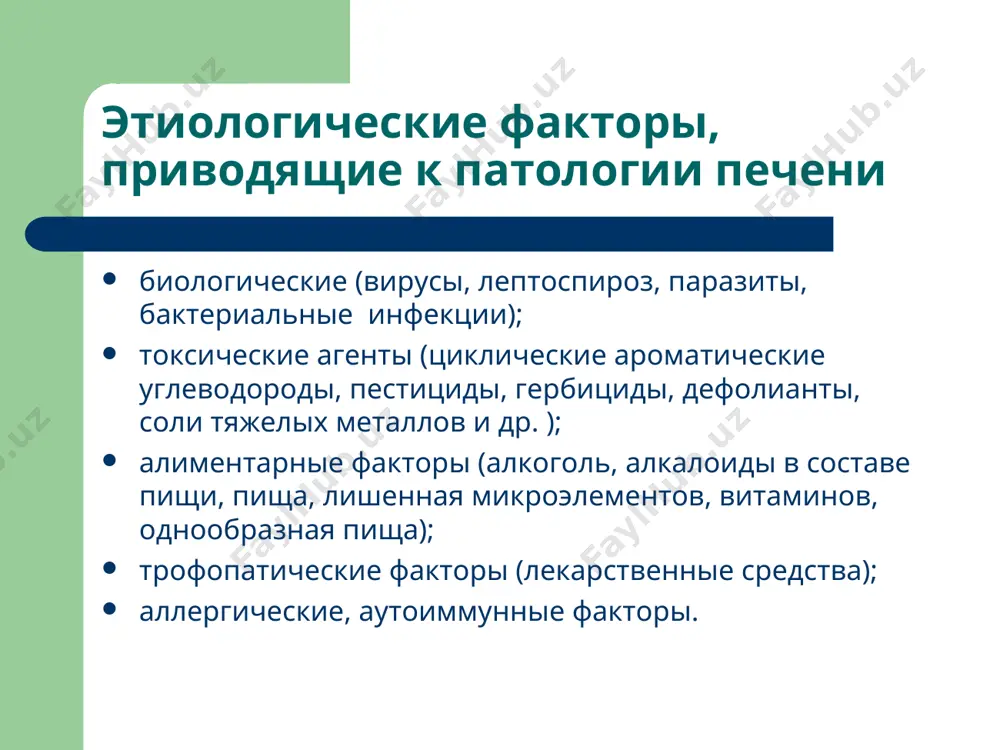 патофизиология печени - Page 3