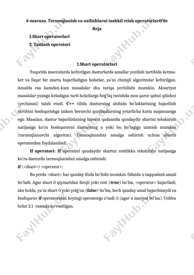 tarmoqlanish va uzilishlarni tashkil etish operatorlari — DOCX