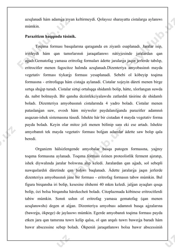 sesine ólshemi 40 mkm keledi. jalǵan ayaqları qısqa bolip, ózi bolsa birqansha hárekecheń boladı. citoplazmada kóbinese eritrocitlerdi tabiw múmkin. sonıń ushın ol eritrofag yamasa gematofag (qan menen azıqlanıwshı) degen at alǵan. dizenteriya amyobası adamnıń basqa aǵzalarına (bawırǵa, ókpege) de jaylasıwı múmkin. egerde amyobanıń toqima forması payda etken jara qan tamırına tuwrı kelip qalsa, ol qan arqalı tuwrı bawırǵa baradı hám bawır abscessine sebep boladı. ókpeniń jaraqatlanıwı bolsa bawır abscessiniń ókpege diafragma arqalı ótiwinen kelip shıǵadı shıǵadı. amyobiaz keselliginiń belgileri tiykarınan qarın awırıwı, ishteydiń joǵalıwı, iriń hám qan aralas ish ótiwinen anıqlanadı. diareya amyobası menen awırǵan adam bir sutkada 300 millionǵa shekem cista shıǵarıwı múmkin.kesellikke diagnoz qoyıw ushın nawqastıń dáreti konservantqa jıynaladı hám tekseriledi.konservant quramı a.a.turdiev tárepinen usınıs yetilgen (1971). adamda 4-yadrolı cistalar hám eritrofag tabılıwı oǵan amyobiaz juqqanlıǵınan derek beredi. ish awırıw amyobası jer júzinde keń tarqalǵan. túrli geografiyalıq sharayatlarda adamlardıń bul parazit penen keselleniwi 10% ten artıp baradı 30% …