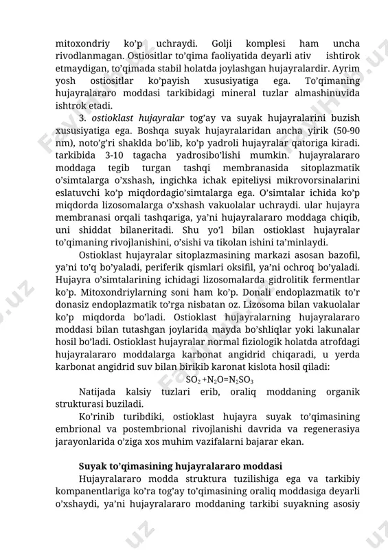 ishgan. lekin elektron mikroskop yordamida olib borilgan tadqiqod ishlari shuni ko’rsatdiki, haqiqatdan ham kapsulada mineral tuzlaryig’indisi bo’lmas ekan, kapsula devoridagi modda, to’qimaning boshqa qismidagi tuzlarga boy moddalarga nisbatan, aksincha, yumshoq tuzilishga ega ekan. shuning uchun kapsula mikroskopda yaltirab ko’rinar ekan. ostiositning ochroq bo’yalgan sitoplazmasi markazida, odatda, bitta to’q bo’yalgan yadro bo’ladi. organoidlardan mitoxondriy ko’p uchraydi. golji komplesi ham uncha rivodlanmagan. ostiositlar to’qima faoliyatida deyarli ativ ishtirok etmaydigan, to’qimada stabil holatda joylashgan hujayralardir. ayrim yosh ostiositlar ko’payish xususiyatiga ega. to’qimaning hujayralararo moddasi tarkibidagi mineral tuzlar almashinuvida ishtrok etadi. 3. ostioklast hujayralar tog’ay va suyak hujayralarini buzish xususiyatiga ega. boshqa suyak hujayralaridan ancha yirik (50-90 nm), noto’g’ri shaklda bo’lib, ko’p yadroli hujayralar qatoriga kiradi. tarkibida 3-10 tagacha yadrosibo’lishi mumkin. hujayralararo moddaga tegib turgan tashqi membranasida sitoplazmatik o’simtalarga o’xshash, ingichka ichak epiteliysi mikrovorsinalarini eslatuvchi ko’p miqdordagio’simtalarga ega. o’simtalar ichida ko’p miqdorda lizosomalarga o’xshash vakuolalar uchraydi. ular hujayra membranasi orqali tashqariga, ya’ni hujayralararo moddaga …