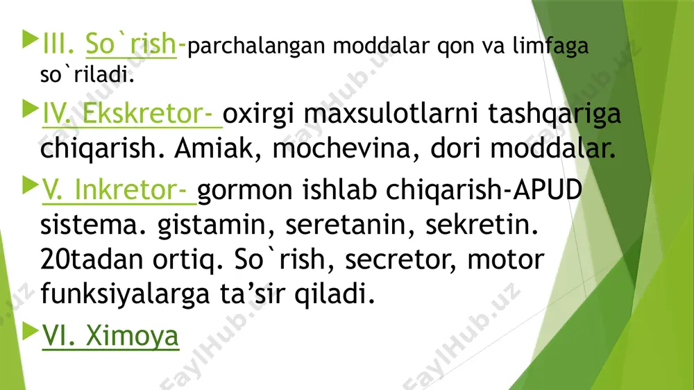 motor- - Page 4