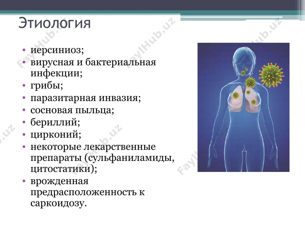 лические очертания и однородную структуру; характерен ступенчатый контур изображения лимфоузлов за счет наложения теней передних и задних групп бронхопульмональных лимфоузлов. эндокскопическое исследование бронхоскопия: изменения сосудов слизистой оболочки бронхов (расширение, утолщение, извитость); бугорковые высыпания (саркоидные гранулемы) в виде бляшек различной величины (от просяных зерен до горошины); на слизистой оболочке бронхов видны ишемические пятна - бледные участки, лишенные сосудов. торакоскопия: на плевральной поверхности видны беловато-желтоватые саркоидные гранулемы, которые подвергаются биопсии. биопсия участки для биопсии: периферические лимфатические узлы; поражения кожи; конъюнктива; саркоидоз плевры (висцеральная плевра покрыта белесоватыми бляшками, напоминающие метастазы рака легкого) саркоидоз бронха просовидные уплотнения в стенке трахеи биопсия методы: у больных с внутригрудной лимфоаденопатией - бронхоскопическая трансбронхиальная биопсия; открытая биопсия легкого - еще один способ получить ткань, но требует общей анестезии и в настоящее время проводится редко биопсия методы: видеоторакоскопия - может обеспечить доступ к ткани легкого, когда бронхоскопическая трансбронхиальная биопсия является неинформативной; медиастиноскопия - если лимфоаденопатия корней или средостения существует …