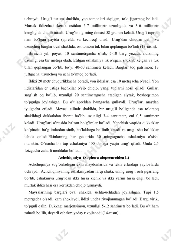riladigan ekin maydonlarida va tekis erlardagi yaylovlarda uchraydi. achchiqmiyaning eshakmiyadan farqi shuki, uning urug’i och jigarrang bo’lib, eshakmiya urug’idan ikki hissa kichik va ikki yarim hissa engil bo’ladi, murtak ildizchasi esa kertikdan chiqib turmaydi. maysalarining barglari oval shaklda, uchta-uchtadan joylashgan. tupi 1,5 metrgacha o’sadi, kam shoxlaydi, ildizi uncha rivojlanmagan bo’ladi. bargi yirik, to’pguli qalin. dukkagi marjonsimon, uzunligi 5-12 santimetr bo’ladi. bu o’t ham zaharli bo’lib, deyarli eshakmiyaday rivojlanadi (14-rasm). o’zbekistondagi lalmi ekinzorlarda, yaylovlarda va pichanzorlarda bulardan boshqa kakra, oqquray, yovvoyi bug’doy, qormug’, pechak, mastak, toshbaqa toli, afsonak (gandamiya) kabi zaharli o’tlar ham uchraydi. bu o’tlarning urug’i aralashgan donlardan ovqat yoki em uchun foydalanilganda odam yoki hayvon zaharlanishi mumkin. zaharlanish alomatlari zaharli o’tlarning urug’laridan quyidagi hollarda zaharlanish mumkin. 1. zaharli o’tlarning urug’i aralashgan donning uni ovqatga ishlatilganda. 2. dalani zaharli o’tlardan tozalamay turib, donli ekinlar kombayn bilan o’rilganda yanchilgan o’tlarning shirasi donga yopishadi; bunday donning uni odamlarning zaharlanishiga sabab bo’lishi mumkin. …