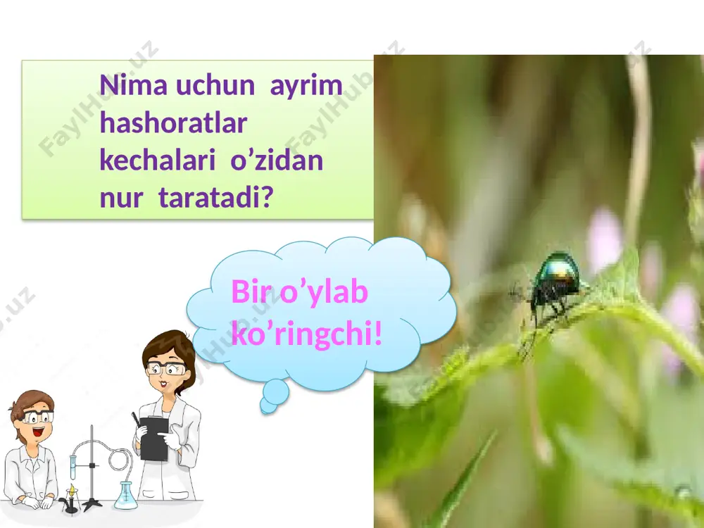 sfor-pn kukunsimon,to’q qizil, hidsiz,suvda erimaydigan,cs2 da erimaydigan qorong’uda shulalanmaydigan zaharsiz ,atomli kristall tuzilishga ega modda. kimyoviy xossasi . 4p+5o2=2p2o5 2p+3cl2=2pcl3 2p+3s=p2s3 2p+3ca=ca3p2 2p+3h2=2ph3 oq fosfor –kislorod,galogenlar,oltin-gugurt , ayrim metallar va vodorod bilan bevosita birika oladi. ishlatilishi . qizil fosfor gugurt ishlab chiqarishda ishlatiladi. 6p+5kclo3→5kcl+3p2o5 mantiqiy savol. . bu mineral modda koni kola yarim orolida uchraydi.u o’z rangini kun davomida o’zgartirib turadi shuning uchun ham unga aldamchi deb nom berilgan.bu yerda qaysi mineral moddaning nomi yashiringan? savol/javob 5 p4 31 15 pn 1.quyidagilardan qaysi biri oq fosfor? n a y i a 2.quyidagilardan qaysi biri qizil fosfor? s y i a p 3.gugurt ishlab chiqarishda qaysi fosfor ishlatiladi? m d u f a 4.fosforning tashqi pog’onasida nechta elektroni bor? t n m t f 5.posforda elektronlar coni nechta? a s t i t 6.fosforning atom massasi nechaga teng? p m t a i . hcl ca3p2 h3po4 naoh ca3(po4)2 ph3 hno3 …
