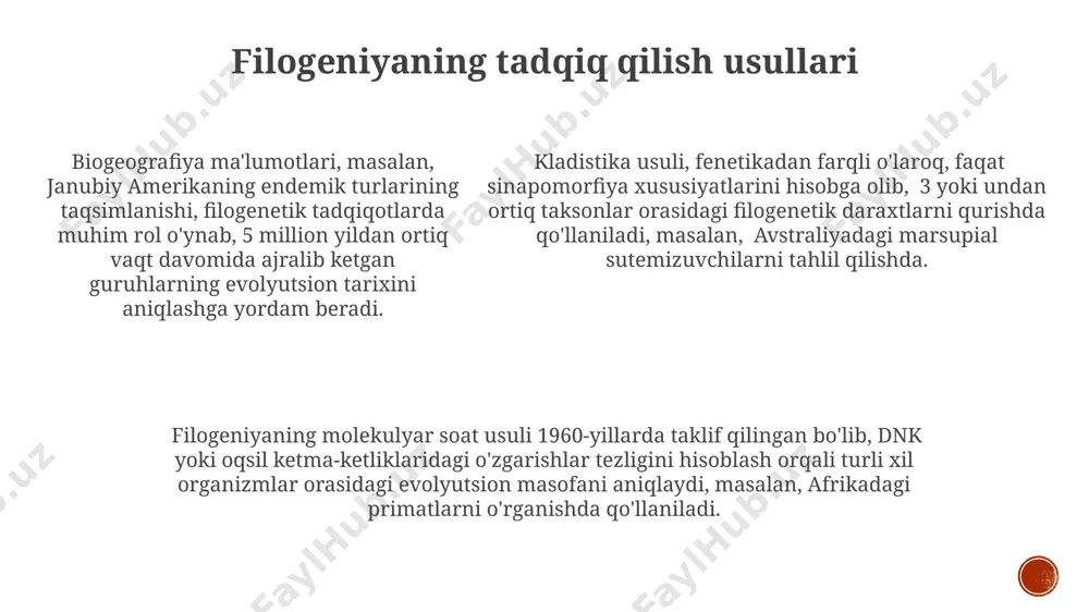 filogenez va otnogenez haqida tushuncha - Page 5