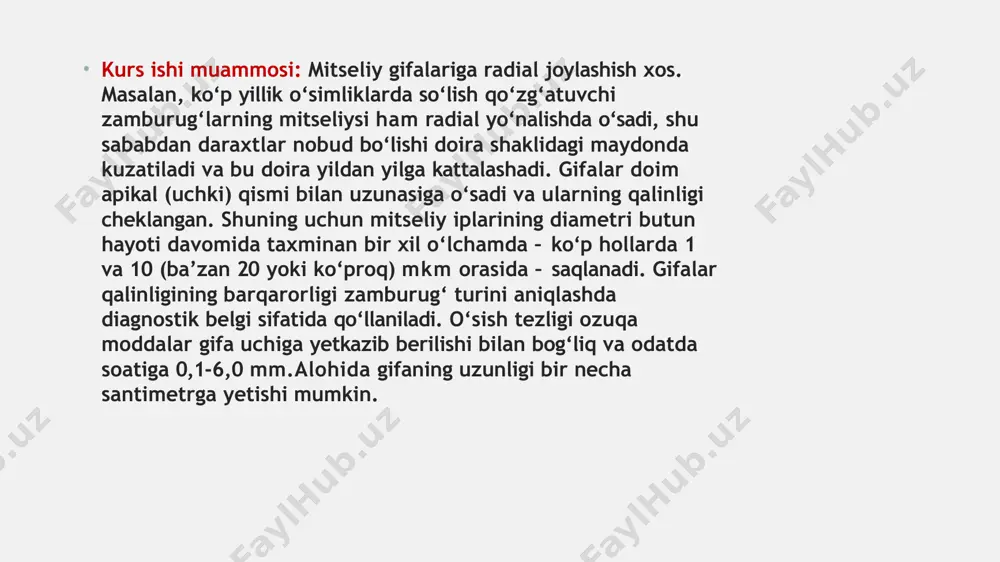 an ipsimon, shoxlangan, qobiq bilan o‘ralgan hujayralardan tashkil topgan tuzilmalarga ega bo‘lgan organizmlardir zamburug‘larning tuzilishi. zamburug‘lar hujayralari qobig‘ida hayvonot dunyosiga xos bo‘lgan xitin, modda almashinuvi mahsulotlarida mochevina mavjudligi, zahira modda sifatida glikogen hosil bo‘lishi va ba’zi boshqa xususiyatlar zamburug‘larni hayvonot dunyosiga yaqinlashtiradi.ammo zamburug‘lar o‘simliklar ham, hayvonlar ham emas. zamburug‘larning rivojlanishi o‘simliklar hamda hayvonlar bilan bog‘liq bo‘lmagan holda kechgan. bu nuqtai nazarning to‘g‘riligi haqida paleontologik va biokimyoviy bavosita dalillar mavjud: bu o‘simliklar bilan zamburug‘lar o‘z evolyutsion yo‘nalishlariga ajralmasdan ilgari ham zamburug‘lar mavjud bo‘lganligidir. zamburug‘larning vegetativ tanasi, mitseliy deb ataluvchi juda tor, shoxlangan gifalar sistemasidan tashkil topgan. mitseliyning asosiy elementi – gifa – uzun ip bo‘lib, u uchki qismi bilan chegaralanmagan miqdorda o‘sish qobiliyatiga ega. gifalarda ko‘ndalang joylashgan to‘siqlar (septalar) mavjud bo‘lmasligi mumkin, bunday holda mitseliy ko‘p shoxlangan bitta hujayradan iborat bo‘ladi. bunday mitseliy septalanmagan yoki hujayralanmagan (ya’ni, hujayralarga bo‘linmagan) mitseliy, deb ataladi. mukornamolar va entomoftoranamolar tuban zamburug’larning tavsii va klassifikasiyasi. miksomitsetlar …