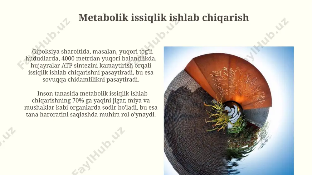 tirik organizmda issiqlik almashinuvining biofizik asoslari - Page 5