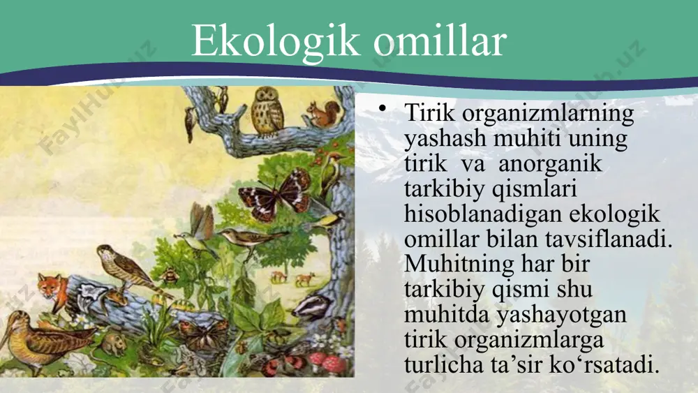 vori boshqa qismlari balandligining ahamiyati yo‘q. moslashishning darajalari moslashish turli darajalarda va ko‘rinishlarda namoyon bo‘ladi. masalan harorat omiliga moslashish molekulyar darajadan boshlab to biotsenotik darajagacha kuzatilishi mumkin. ko‘pchilik o‘simliklar ortiqcha qizib ketishdan saqlanish uchun boshqa o‘simlik turining soyasida o‘sadi. bu erda moslashish biotsenotik darajada namoyon bo‘lmoqda. ekologik nisha haqida tushuncha muhitning ekologik omillari bilan murakkab munosabatlar tizimida har bir tur o‘zining muayyan ekologik o‘rniga – ekologik nishasiga ega. turning biotizim sifatida mavjudligini belgilab beruvchi barcha abiotik va biotik omillarning yig‘indisi ekologik nisha deyiladi. ma’lum bir hududdagi muhofazaga muhtoj turni saqlab qolish uchun qaysi ekologik omil chidamlilik chegarasidan tashqariga chiqayotganini aniqlash muhim. ayniqsa, shu turning ko‘payish va rivojlanish davrida bu tadbirlar o‘ta ahamiyatli bo‘ladi. biosfera chegaralari biosfera chegaralari. biosfera ma’lum chegaralarga ega bo‘lib, bu chegaralar hayotni ta’minlovchi shart-sharoitlar bilan belgilanadi. hayotni ta’minlovchi shart-sharoitlarga tirik organizmlar hayot faoliyati uchun qulay harorat, yorug‘lik, yetarli miqdorda suv, kislorod, karbonat angidrid gazi va boshqa mineral …
