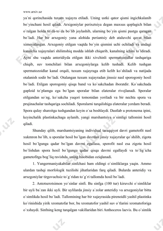 porofit nasl esa zigota hosil bo`lishdan spora hosil bo`lgunga qadar qisqa davrni egallaydi va to`lig`icha gametofitga bog`liq ravishda, uning hisobidan oziqlanadi. 1. yungermaniyakabilar sinfchasi ham oldingi o`simliklarga yaqin. ammo ulardan tashqi morfologik tuzilishi jihatlaridan farq qiladi. bularda anteridiy va arxegoniylar tirgovuchsiz to`g`ridan to`g`ri tallomda hosil bo`ladi. 2. antotserotsimon yo`sinlar sinfi. bu sinfga (100 tur) kiruvchi o`simliklar bir uyli ba`zan ikki uyli. bir uylilarda jinsiy a`zolar anteridiy va arxegoniylar bitta o`simlikda hosil bo`ladi. tallomining har bir xujayrasida pirenoidli yashil plastinka ko`rinishida yirik xromatofar bor, bu xromatofor yashil suv o`tlarini xromatoforiga o`xshaydi. sinfning keng tarqalgan vakillaridan biri anthoceros laevis. bu o`simlik haydalgan erlarda va ariq bo`ylarida uchraydi. sporalari sporogonni ikki pallaga ajralishi natijasida tashqariga tarqaladi. 3. sfagnumsimonlar yoki poya bargli yo`sinlar sinfi. bu sinfga (9500 tur) taalluqli o`simliklar morfologik va anatomik tuzilishi jihatidan jigarsimon o`simliklardan quyidagi asosiy belgilari bilan farq qiladi: bular orasida tallom tuzilishiga ega bo`lgan vakillar yo`k. tanasi poya va …