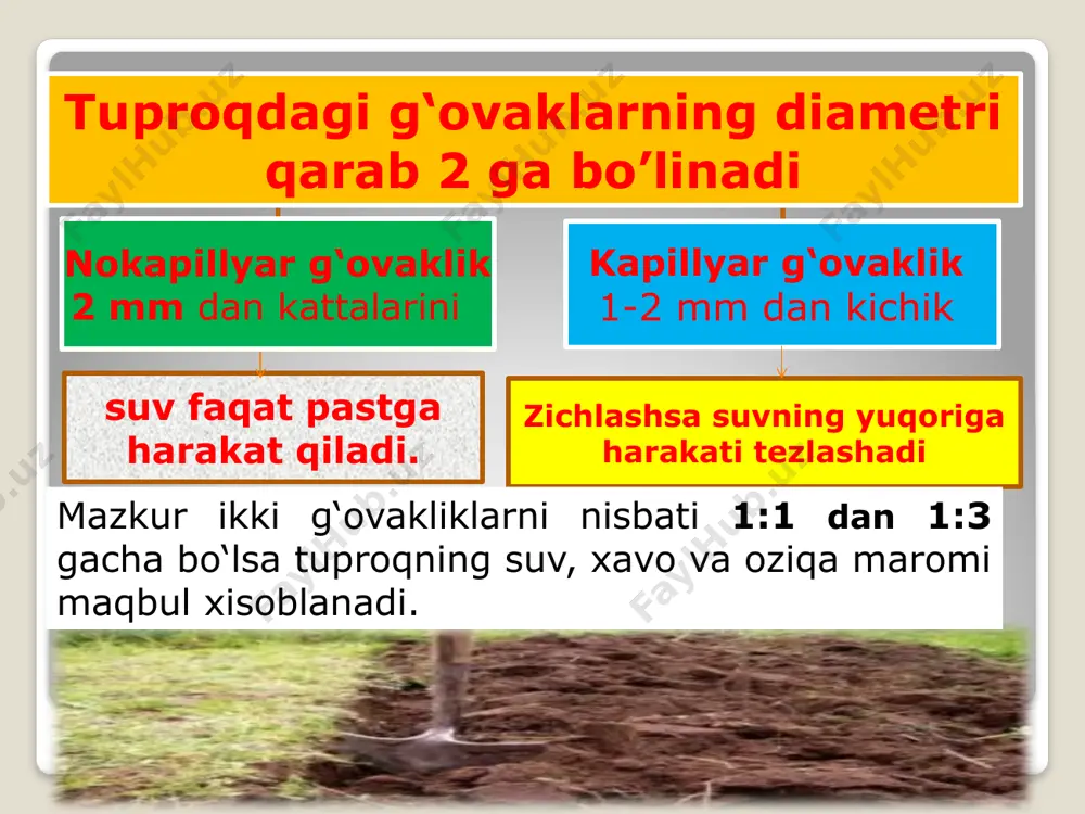 b bo‘lib, yuqori hosil beradi. xajmiy vazni 1,2–1,4g/sm3 bo‘lgan tuproq tuzilishida ildiz maqbul rivojlanadi, undan kam bo‘lsa namlik kam saqlanadi, yuqori bo‘lsa ishlov qiyin, ildizlar rivoji pastroq bo‘ladi. ilmiy ma’lumotlarga ko‘ra xajmiy vazin 1,3 g/sm3 bo‘lganda bir tup g‘o‘za 173,7 g paxta xosili bergan. xajmiy vazin 1,5 g/sm3 bo‘lganda xosildorlik 108,1 bo‘lgan. ҳайдалма қатламнинг тузилиши қуйидаги усуллар билан аниқланади: 1. патронлардаги тупроқ намунасини сув билан тўйинтириш усули. бу усул асосий ҳисобланади. 2. энг тез, лекин камроқ аниқликда бўлган пикнометр усули. 3. дала шароитида умумий ковак фақат тупроқнинг ҳажмий ва солиштирма оғирлигига қараб белгиланади. умумий коваклик қуйидаги формулага мувофиқ фоиз ҳисобида аниқланади: в1 р = (1 - -----) • 100, % с бунда: р - умумий коваклик, % в1 - тупроқнинг ҳажмий оғирлиги, г/см3 с - тупроқнинг солиштирма оғирлиги, г/см3 ишни бажариш тартиби: илмий текшириш ишларида ҳайдалма қатламнинг тузилиши тупроқ ҳолатини бузмасдан ўрганилади. ҳолати бузилмаган тупроқ намунасини качинский, некрасов ёки лебедев …
