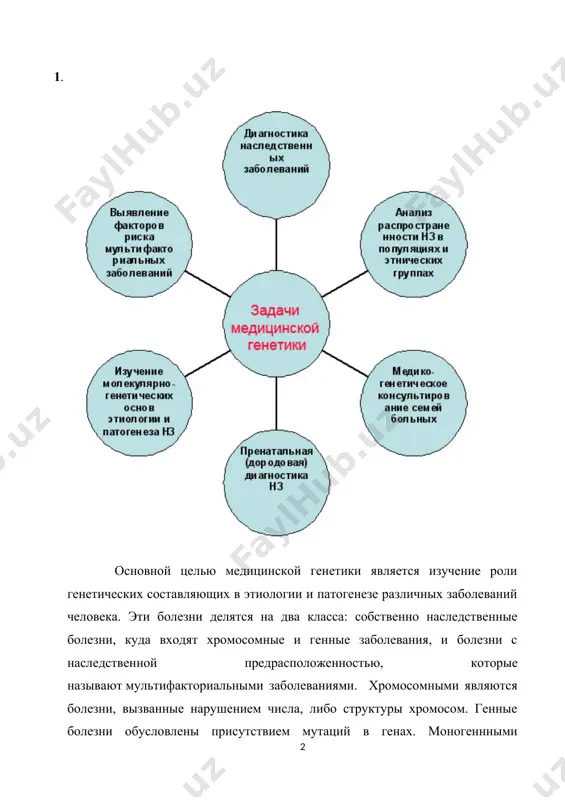 истемы и органы больного. хромосомные болезни редко наследуются, и более чем в 95% случаев риск повторного рождения в семье больного ребенка с хромосомной патологией не превышает общепопуляционного уровня. исключение составляют те случаи, когда родители больного ребенка несут сбалансированные хромосомные перестройки, чаще всего транслокации, при которых не происходит утраты генетического материала. носители сбалансированных транслокаций являются практически здоровыми людьми, но вероятность у них выкидышей, замерших беременностей или рождения детей с несбалансированными хромосомными перестройками, а значит с хромосомными болезнями, очень велика. поэтому при бесплодии, мертворождениях, привычной невынашиваемости беременности, а также при наличии в семье ребенка с хромосомной патологией необходимо проводить анализ кариотипа каждого из родителей с целью диагностики сбалансированных хромосомных перестроек. моногенные болезни. разнообразие моногенных заболеваний достаточно велико и их количество по некоторым оценкам достигает 5000. среди моногенных болезней значительный процент составляют ферментопатии, различные формы умственной отсталости, дефекты органов слуха, зрения, скелетные дисплазии, врожденные пороки развития, болезни нервной, эндокринной, соединительно-тканной, иммунной и других …