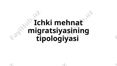 ichki mehnat migratsiyasining tipologiyasi — PPTX
