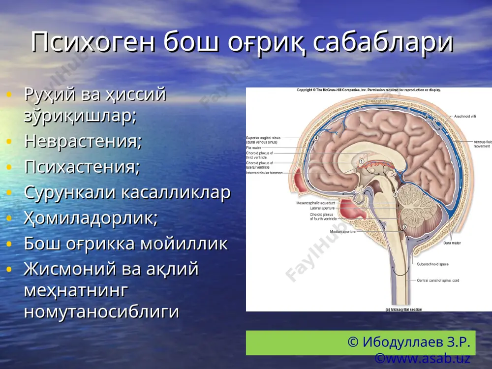 psixosomatik tibbiyot: psevdonevrologik sindromlar - Page 3