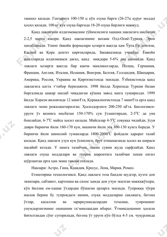 т уруғи кўп бўлса 4-5 см. чуқурликда дискланади, 10-15 кундан кейин шудгор қилинади. эрта баҳорда борона қилинади. ўзбекистон шароитида ер ҳайдашдан олдин гектарига 20-40 т чириган гўнг, 90 кг фосфор, 60 кг калий ўғити солинади. азотли ўғитлар ме‘ёри 200-250 кгғга бўлганда яхши натижа беради. азотли ўғитлар экиш билан бир вақтда 20 кг, ўсув даврида биринчи ва иккинчи сувдан олдин 90 кг дан берилади. қанд лавлаги кенг қаторлаб экилади, қатор ораси 60-70 см бўлади, ўсимликлар ораси 12-20 см атрофида бўлади. кўп уруғли навлардан гектарига 20-25 кг, бир уруғликларда 12-15 кг. атрофида 3-4 см чуқурликда март ойида экилади. уруғ спч-6 м, сабзавот ва сеялкаларида экилади. лавлагини аниқ экишда сц-12а, сц-12в сеялка ва т-70с, мтз, юмз тракторларидан фойдаланиши мумкин. ўсув даврида тупроқ намлиги 70% атрофида сақлаб турилиши керак. лавлаги 6-12 мартача суғорилади, ҳар суғришда 600-800 м3 сув сарфланади. ҳар суғоришдан кейин қатор орасига ишлов берилади. ўсув даврида касаллик ва зараркунандаларга қарши кураш муҳим …