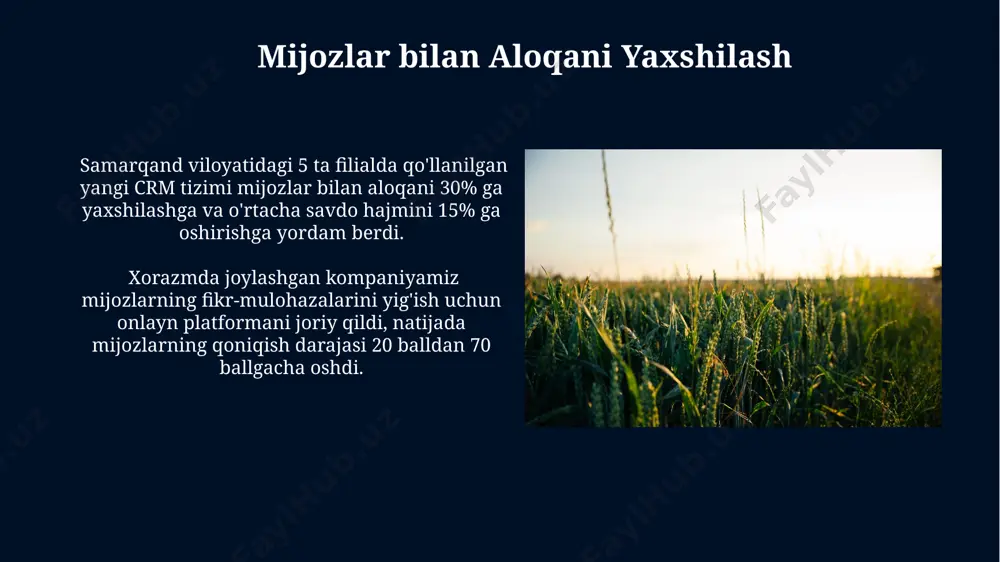 marketing tizimi va sohasi - Page 4