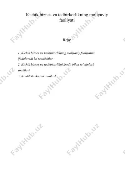 kichik biznes va tadbirkorlikning moliyaviy faoliyati — DOC