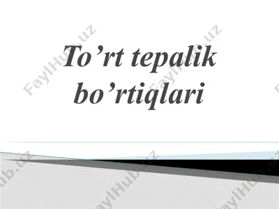 to’rt tepalik bo’rtiqlari — PPTX