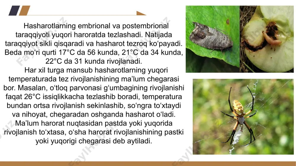 hasharotlar hayotida abiotik omillar - Page 4