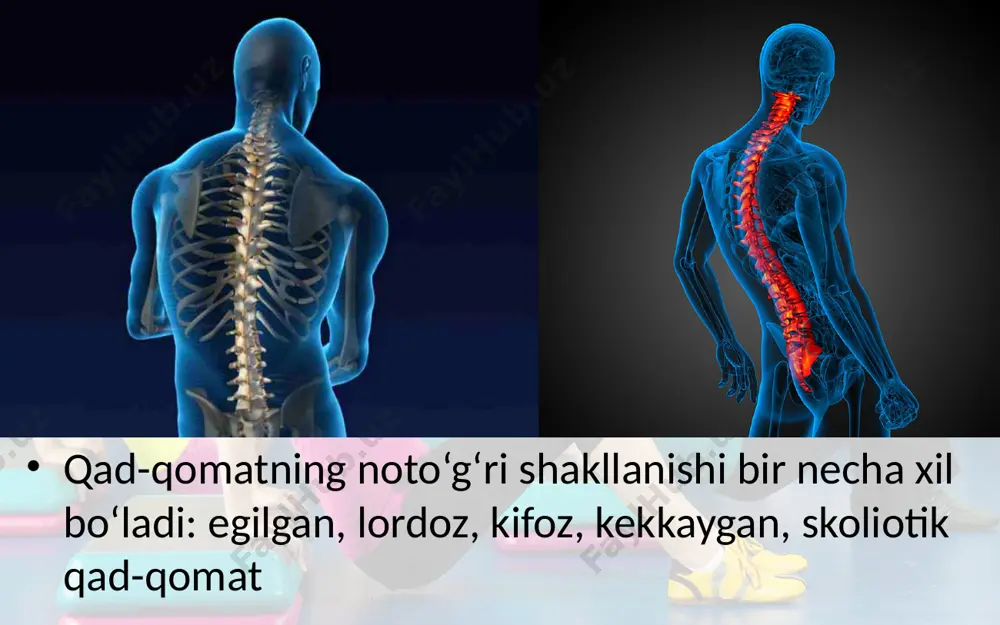 qad-qomatning shakllanishi. 8 - sinf - Page 4