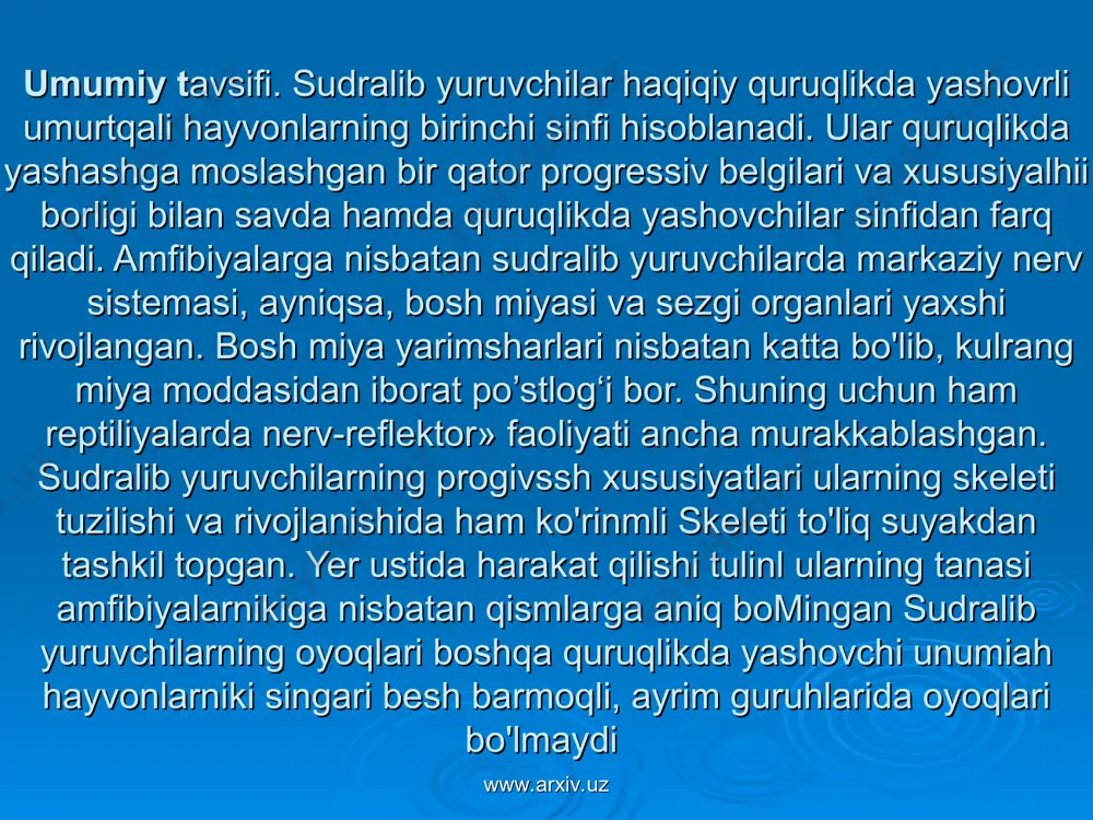 bog'liq ekanligini aytib o'tish lozim. sudralib yuruvchilai skeletidagi xarakterli xususiyatlardan yana biri ularda to'sh suyagi va qovurg'alarning rivojlanganligi tufayli ko'krak qafasining paydo bomgan ligidir (ilon va toshbaqalarda bo'lmaydi). umurtqa pog‘onasi. sudralib yuruvchilarning o'q skeleti yoki umurtqa pog'onasining qismlari suvda hamda quruqlikda yashovclu larnikiga nisbatan harakatchan va to'rtta bo'limga: bo'yin, ko'krak bel, dumg'aza va dumga bo'linadi www.arxiv.uz www.arxiv.uz bo‘yin umurtqalari. kaltakesaklarning bo‘yin qismida umurtqalar ни 8 ta. bulardan oldingi, ikkitasi o'ziga xos tuzilgan. atlas yoki hllant deb ataladigan birinchi bo'yin umurtqasi barcha amniotalar uchun sinakterli halqa shaklida bo‘ladi. old tomonning pastki qismida bitta bo'g'im yuzasi bo'lib, umurtqa shu yuza yordami bilan bosh skeletga harakatchan tarzda ensa bo'rtmasi orqali birikadi. atlas o'rtasidagi irshik pay bilan ikkiga pastki va ustki bo’limlarga bo'lingan. ustki teshikdan orqa miya o'tsa, pastki teshikka tishsimon o'simta kiradi, bu o’simta epistrofey deb ataladigan ikkinchi umurtqaga birikkan. tishsimon o'simta birinchi umurtqaning ajralib chiqqan tanasidir. ko‘krak-bel umurtqalari. kaltakesaklarda ko‘krak-bel umurtqa liul …
