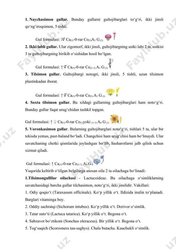 hangchisi ham urug‘chisi ham bo‘lmaydi. ular savatchaning chetki qismlarida joylashgan bo‘lib, hasharotlarni jalb qilish uchun xizmat qiladi. gul formulasi: ↑ ca(5)-0-rar co(5-7) a0 g 0 yuqorida keltirib o‘tilgan belgilarga asosan oila 2 ta oilachaga bo‘linadi: 1.tilsimongullilar oilachasi - lactucoideae. bu oilachaga o‘simliklarning savatchasidagi barcha gullar tilchasimon, noto‘g‘ri, ikki jinslidir. vakillari: 1. odiy qoqio‘t (taraxasum officinale). ko‘p yillik o‘t. ildizida inulin to‘planadi. barglari vitaminga boy. 2. oddiy sachratqi (sichorum intubus). ko‘p yillik o‘t. dorivor o‘simlik. 3. tatar suto‘ti (lactuca tatarica). ko‘p yillik o‘t. begona o‘t. 4. sabzavot bo‘ztikoni (sonchus oleraceus). bir yillik o‘t. begona o‘t. 5. tog‘saqich (scorzonera tau-saghys). chala butacha. kauchukli o‘simlik. 6. echkisoqol (tragopogon malicus). ko‘p yillik o‘t. 2. naychagullilar oilachasi – asteroideae. bu oilacha vakillari savatchalaridagi gullarining hammasi naysimon, ba’zan ikki labli yoki har-xil bo‘lishi mumkin. vakillari: 1. oddiy kungaboqar (helianthus annuus). bir yillik o‘simlik. 2. ermon (artemisia absinthium). ko‘p yillik o‘t. dorivor o‘simlik. cho‘l, adir va tog‘ …