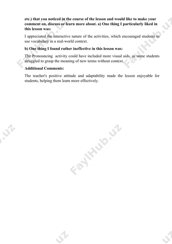 lesson observation (form 1) - Page 3