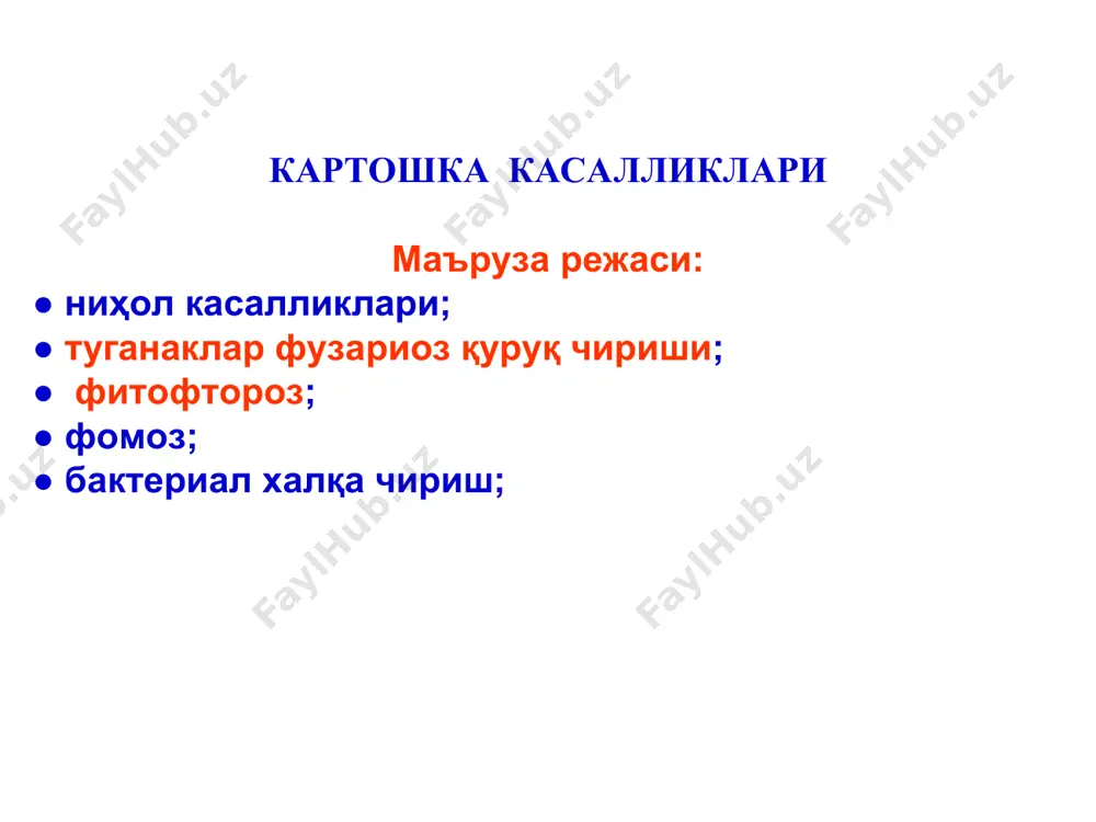 илари. қишлоқ хўжалик фитопатологияси картошка касалликлари картошка ниҳолларининг “қора сон” ва туганакларининг юмшоқ бактериоз чириш касаллиги касаллик ҳосилни пасайтиради. туганаклар ҳашарот ва касалликлар пайдо қилган ҳамда ташиш ва омборхоналарга жойлаш пайтида етказилган жароҳатлар орқали бактерия билан зарарланади, уларнинг устида, айниқса кўзчаларида, думалоқ, ботиқ некротик доғлар ривожланади (расм). доғлар тез ўсади; ҳосил далада ёки омборхонада сақлаш пайтида чириб кетади. қишлоқ хўжалик фитопатологияси картошка касалликлари картошка туганакларида юмшоқ чириш (қўзғатувчи erwinia туркумига мансуб бактерия) белгилари. қишлоқ хўжалик фитопатологияси картошка касалликлари картошка туганакларида юмшоқ чириш (қўзғатувчи erwinia туркумига мансуб бактерия) касаллигининг белгилари. қишлоқ хўжалик фитопатологияси картошка касалликлари картошка ниҳолларининг “қора сон” ва туганакларининг юмшоқ бактериоз чириш касаллиги омборхонада сақлаш жараёнида ташқи кўриниши соғлом, бироқ енгил зарарланган туганакларда “ҳўл чириш” ривожланади ва соғломларига тез ўтади. физиологик кучсиз туганаклар кучлироқ зарарланади, одатда бу бактериялар замбуруғлар зарарлаган туганакларни иккиламчи зарарлайди ва картошка чиришини тугаллайди. зарарланган туганаклар, айниқса 15о-20ос ҳароратда, 3-6 кун ичида батамом чирийди. бактериянинг ривожланиш …