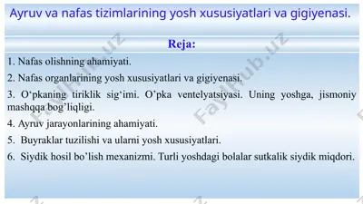 nafas olishning ahamiyati va tavsifi — PPTX