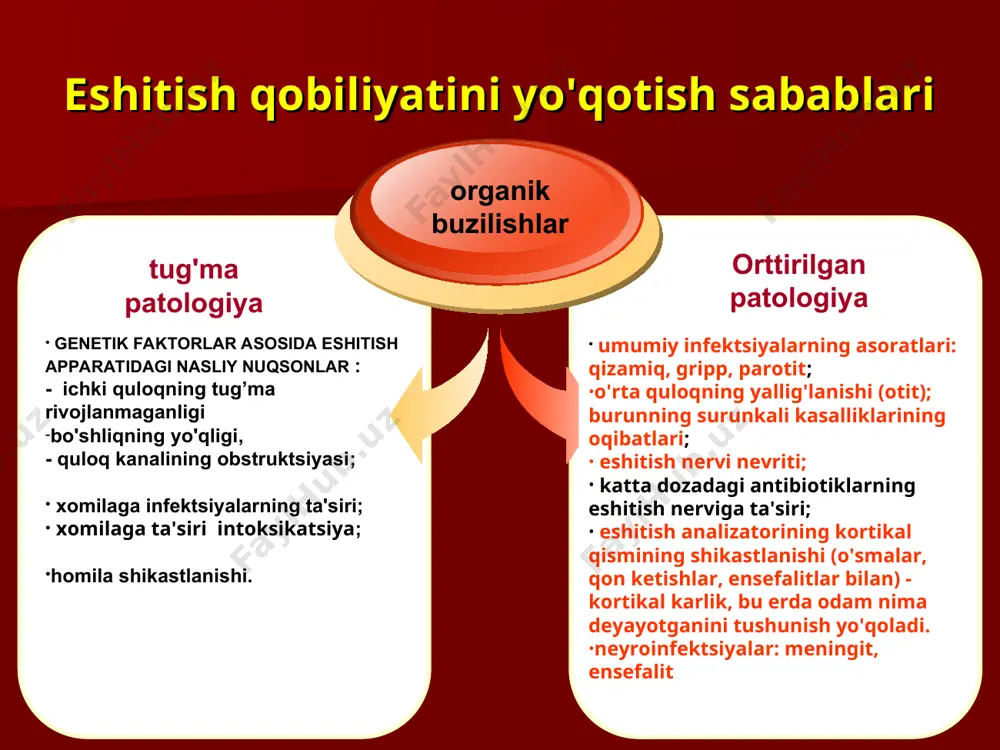 buyuk bastakori hisoblanadi. betxoven kompozitsiyalari, avvalo, uning yorqin shaxsining ifodasidir. 28 yoshida u quloqdagi shovqindan shikoyat qiladi, unga baland ohanglarni ajratish, pichirlangan suhbatni tushunish qiyin kechgan. 32 yoshida betxoven eshitish qobiliyatini yo'qotgan. mashhur kar insonlar : konstantin eduardovich tsiolkovskiy - aeronavtika, aerodinamika va astronavtika sohasida ishlagan rus olimi, raketa va kosmik tadqiqotchi ixtirochisi. tsiolkovskiy birinchi bo'lib kosmosga ucha oladigan raketa modelini yaratdi. u 16 yoshida eshitish qobiliyatini yo'qotgan. fakt. dunyo bo'ylab 360 million odam eshitish qobiliyatini yo'qotgan. dunyo aholisining 5% dan ortig'i - 32 million - bolalar. har 1000 tug'ilgan chaqaloqdan taxminan 5 ta bola eshitish qobiliyatini yo'qotgan. surunkali quloq infektsiyalari eshitish qobiliyatini yo'qotishning asosiy sabablaridandir bolalarda eshitish qobiliyatini yo'qotishining 30% dan ko'prog'i qizamiq, qizilcha va quloq infektsiyalari tufayli yuzaga keladi. fakt. 65 yoshdan oshgan har 3 kishidan 1tasida eshitish qobiliyati buzilgan shovqin eshitish qobiliyatining pasayishining asosiy sabablaridandir taxminlarga ko'ra, 1,1 milliard kishi (12-35 yosh) kontsertlar, sport tadbirlari, shuningdek shaxsiy …