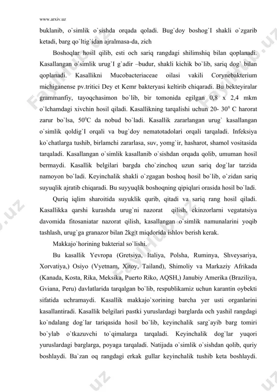 gviana, peru) davlatlarida tarqalgan bo`lib, respublikamiz uchun karantin oybekti sifatida uchramaydi. kasallik makkajo`xorining barcha yer usti organlarini kasallantiradi. kasallik belgilari pastki yuruslardagi barglarda och yashil rangdagi ko`ndalang dog`lar tariqasida hosil bo`lib, keyinchalik sarg`ayib barg tomiri bo`ylab o`tkazuvchi to`qimalarga tarqaladi. keyinchalik dog`lar yuqori yuruslardagi barglarga, poyaga tarqaladi. natijada o`simlik o`sishdan qolib, quriy boshlaydi. ba`zan oq rangdagi erkak gullar keyinchalik tushib keta boshlaydi. o`simlik poyasi ko`ndalang kesilganda o`tkazuvchi naylardan sariq rangdagi shilimshiq ajralib chiqadi. bu kasallik bilan asosan erta pishar navlar kasallanadi. kasallikning qo`zg`atuvchisi erwinia stewartii dye (aplanobacter stewartii mc. cull. ) bekretiyasi hisoblanib, ular 8-390c haroratda (optimum 300c) tez rivojlansa, 530c da nobud bo`ladi. kasallik qo`zg`atuvchisi harakatsiz tayoqchalar hosil qilib, o`lchami 0,5-0,7 x 1-2 mkm, bittadan yoki ikkitasi birlashib, peptonli agarda mayda koloniyalar hosil qilib, uning usti kraterga oxshab chuqurlashadi. kuchli pathogen turlari lakmusli sutni achitadi sahorasza laktoza va gulikozada kilato hosil qiladi . kasallik tufayli 20-50% hosil nobud bo`lsa maysalar …