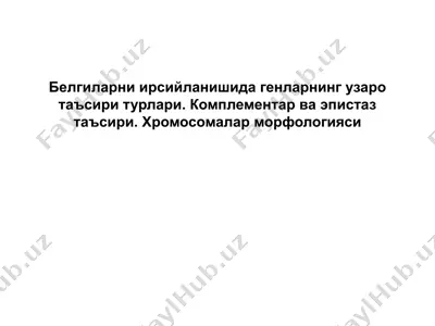 белгиларни ирсийланишида генларнинг узаро таъсири турлари. комплементар ва эпистаз таъсири. хромосомалар морфологияси — PPTX