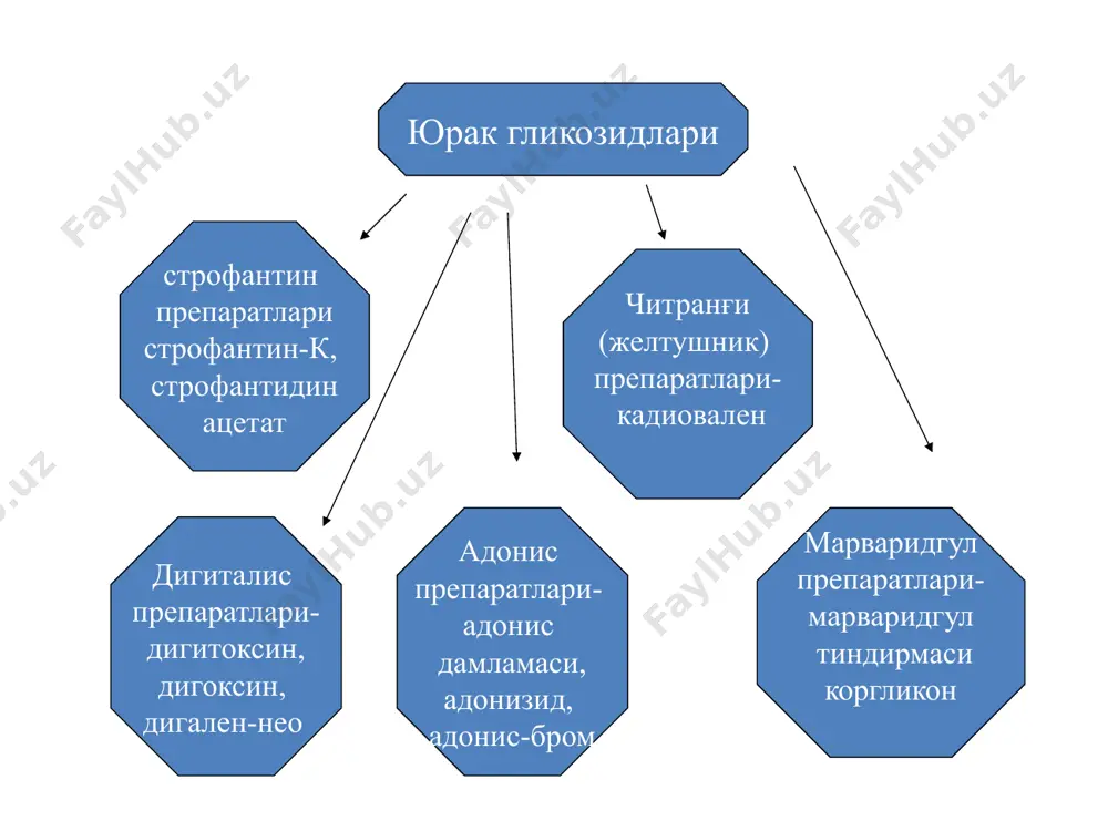 yurak etishmovchiligi taxiaritmiyalar xilpillovchi aritmiyada yurak kiskarishlari sonini nazorat kilish uchun. yurak glikozidlarining ishlatishga karshi kursatmalar nisbiy: bradikardiyalar, blokadaga moyillik bo'lganda, gipokaliemiyalar, absolyut: gipertrofik kardiomiopatiyalar, tireotoksikoz, klapan stenozi, fibrillyatsiyalar. yurak glikozidlarini nojuya ta'sirlari: i-iii daraja blokadani rivojlanishi, sistolada yurakning to'xtashi, korinchalar fibrillyatsiyasi dispepsiyalar, zaxarlanish. digitalis preparatlaridan zaxarlanish belgilari: yurak faoliyati buzilishi – korinchalar ekstrasistolasi, sinus bradikardiyalari, blokadalar. dispeptik uzgarishlar – korinda og'riq, qusish, diareyalar, anoreksiya. ko'rishni buzilishi – rang ko'rishni uzgarishi, ko'rish o'tkirligini buzilishi, ko'z ungida sharpalar paydo bulishi nevrologik o'zgarishlar – uyqu buzilishi, bosh og'riq, bosh aylanishi, nevritlar. boshqa belgilar – burundan qon ketishi, petixial toshmalar. digitalis preparatlaridan zaxarlanish ko'riladigan chora: aritmiyaga qarshi –lidokain yoki meksiletin, kaliy preparatlari, magniy orotat, blokadalarda atropin, antidotlar - natriy edta, trilon b, tsitratlar. β-adrenoblokatorlar man etiladi (aritmogen ta'sirni kuchaytiradi) β1-adrenoretseptorlarni stimullovchilar: dopamin – dofaminoretseptorlarni qo'zg'atadi, noradrenalin kabi α va β-adrenoretseptorlarni stimullaydi, musbat inotrop ta'sir kursatadi. arterial gipotenziyalar, kardiogen shokda ishlatiladi. salbiy ta'siri: aritmiyalar, …