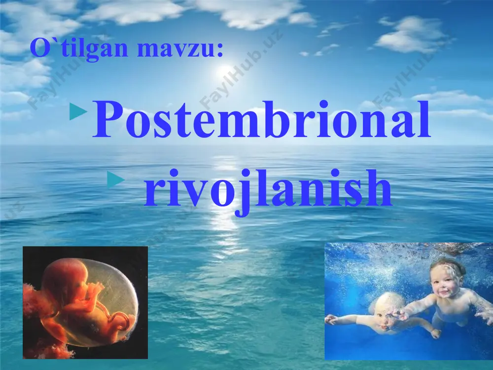 siyaga ega organizmlar yashash uchun kurash, tabiiy tanlanishda g‘olib kelib, foydali mutatsiyalarni nasldan naslga berib, oqibatda filogenez borishini o‘zgartiradi. masalan, sudralib yuruvchilar terisida epitelial va uning ostidagi biriktiruvchi to‘qima hujayralari rivojlanib, tangachalar hosil qiladi. sutemizuvchilarda esa epitelial va biriktiruvchi to‘qima hosilalari rivojini o‘zgartirib, teri orasida soch xaltasini rivojlantiradi. yangi mavzu bayoni : berilganlarni rus tilidan tarjima qiling va embrion rivojlanishning qaysi qavati ekanligini toping berilganlarni rus tilidan tarjima qiling va embrion rivojlanishning qaysi qavati ekanligini toping berilganlarni rus tilidan tarjima qiling va embrion rivojlanishning qaysi qavati ekanligini toping mustahkamlash : ontogenez-shaxsiy rivojlanish ,ontogenezda ajdodlarning yetuk formalari emas, balki faqat embrion bosqichlari qaytariladi foydali mutatsiyalar natijasida masalan, sudralib yuruvchilar terisida epitelial va uning ostidagi biriktiruvchi to‘qima hujayralari rivojlanib, tangachalar hosil qiladi. sutemizuvchilarda esa epitelial va biriktiruvchi to‘qima hosilalari rivojini o‘zgartirib, teri orasida soch xaltasini rivojlantiradi. ontogenezda faqat ajdodlarning ba’zi bosqichlari tushibgina qolmay, ba’zan ularda kuzatilmagan o‘zgarishlar ham ro‘y beradi. buni rus …