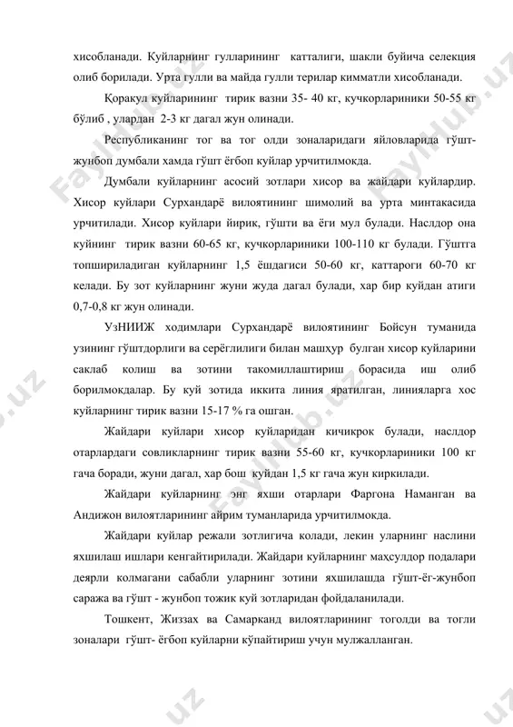 лжалланган. узнииж илмий ходимлари паркент, охангорон туманларида гўшт-ёгбоп куйлар яратдилар. кам маҳсулдор жайдари совликларни бошқа жойлардан келтирилган линкольн, кавказ меринос зотли кучкорлар билан чатиштириш натижасида йирик ва тез етиладиган (совлигининг вазни 60, кучкориники 100-110 кг) янги тур гўшт - жунбоп куйлар яратилди. бу куйларнинг совликлардан урта хисобда 3,5 кг, кучкорларидан эса 5,6 кг дан аъло сифатли жун олинади. бу куйлар сергўштлигидан ташкари, махаллий думбали куйларга караганда уч баравар кўп, энг мухими юқори сифатли жун беради. шунга кура улардан олинадиган даромад хам уч баравар ошади. республикамизда 4 та хужаликда гўшт-жунбоп куйлар гурухи устида селекция ишлари олиб борилмокда. маҳсулдорлик сифатлари жихатидан энг машҳур хисобланган авлоддан хар хил хусусиятга эга булган бешта линия яратилди. шу линияларга мансуб куйлар поданинг умумий даражасидан тирик вазни ва жун маҳсулдорлиги жихатидан сезиларли даражада (15-20 %) устунлик килади. жун киркими ва жун сифатининг ўзгаришини аниклаш хамда шу белгилар юзасидан танлаш ишлари олиб борилмокда. куйларнинг тирик вазнини ва жунининг …