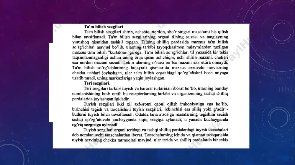 sezgi - Page 3